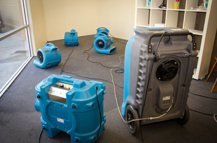 How Water Extraction in Lake Bluff saves your carpet? Why you don't need Carpet Removal in Lake Bluff?